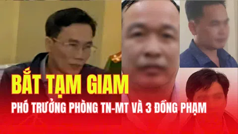 Bắt tạm giam ông Huỳnh Trọng Vũ - Phó Trưởng phòng TN-MT huyện Đầm Dơi (Cà Mau) cùng 3 đồng phạm