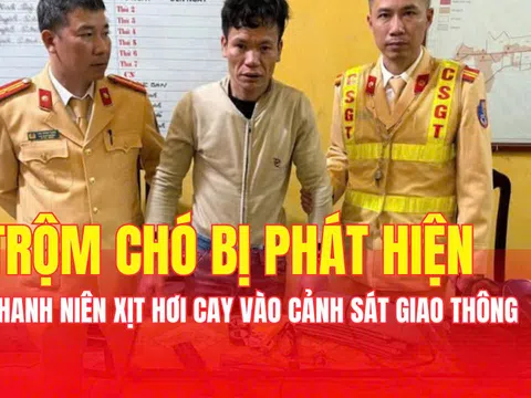 Đi trộm chó bị phát hiện, nam thanh niên xịt hơi cay vào CSGT